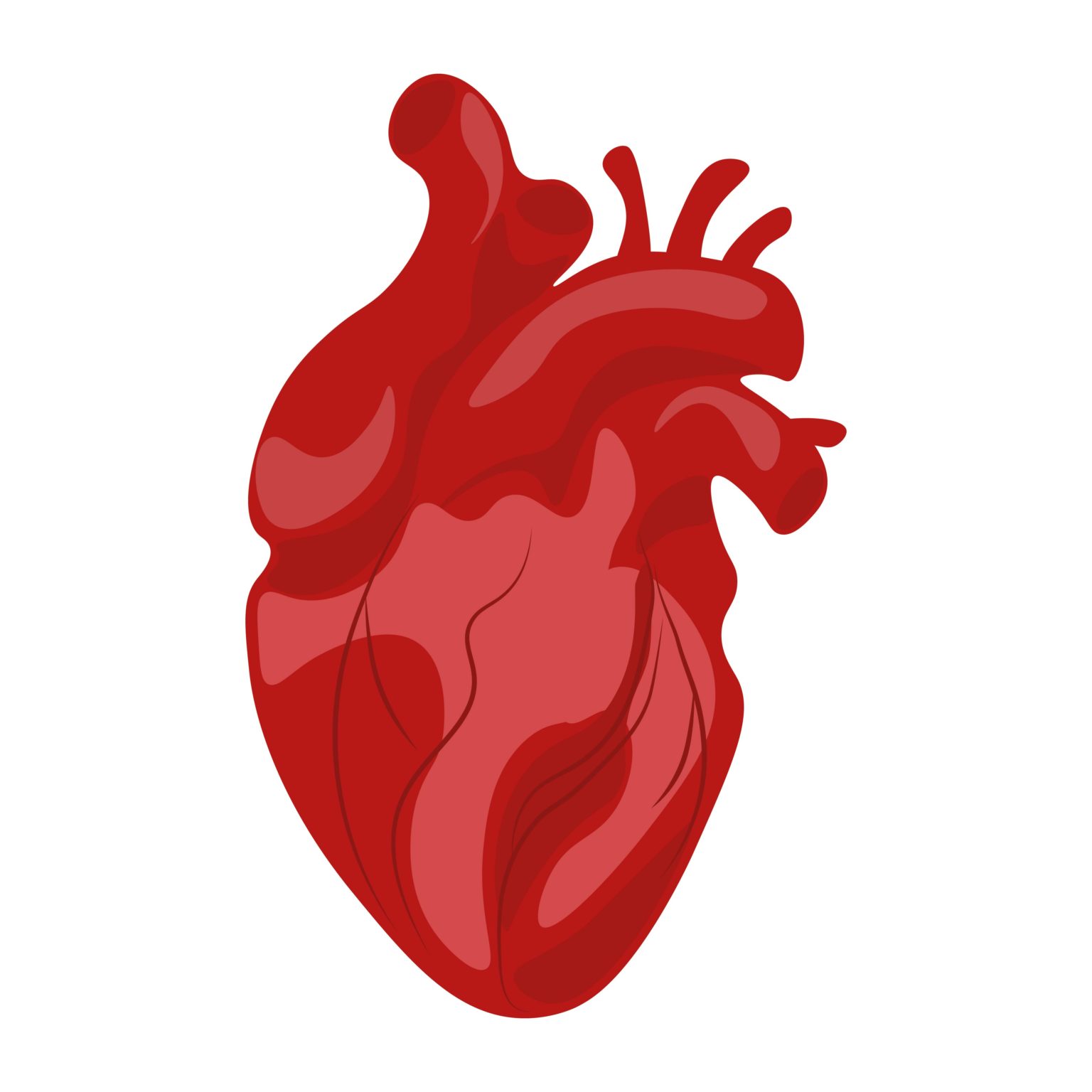 heart surgery - Physician Resource