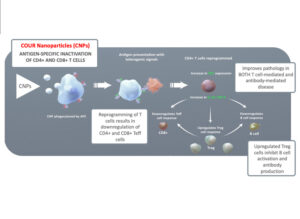 nanoparticle drug for PBC