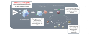 nanoparticle drug for PBC