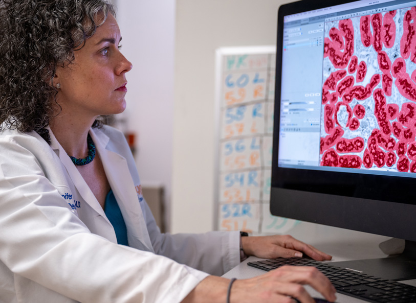 Improving Kidney Health for Extremely Preterm Babies - Healthy Practice